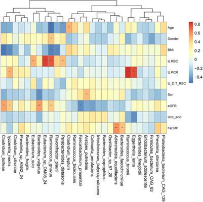 Metagenomics-based systematic analysis reveals that gut microbiota Gd-IgA1-associated enzymes may play a key role in IgA nephropathy